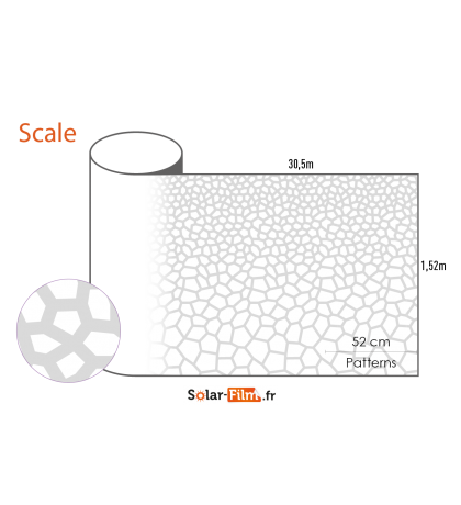 Scale